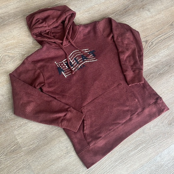 Ariat REAL USA Chest Logo Hoodie‎ sweatshirt western Americana  Women’s medium - Picture 4 of 8